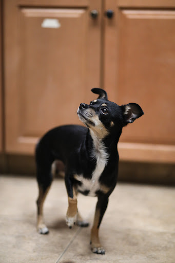 2121 River Rd, Schenectady, NY 12309, USA