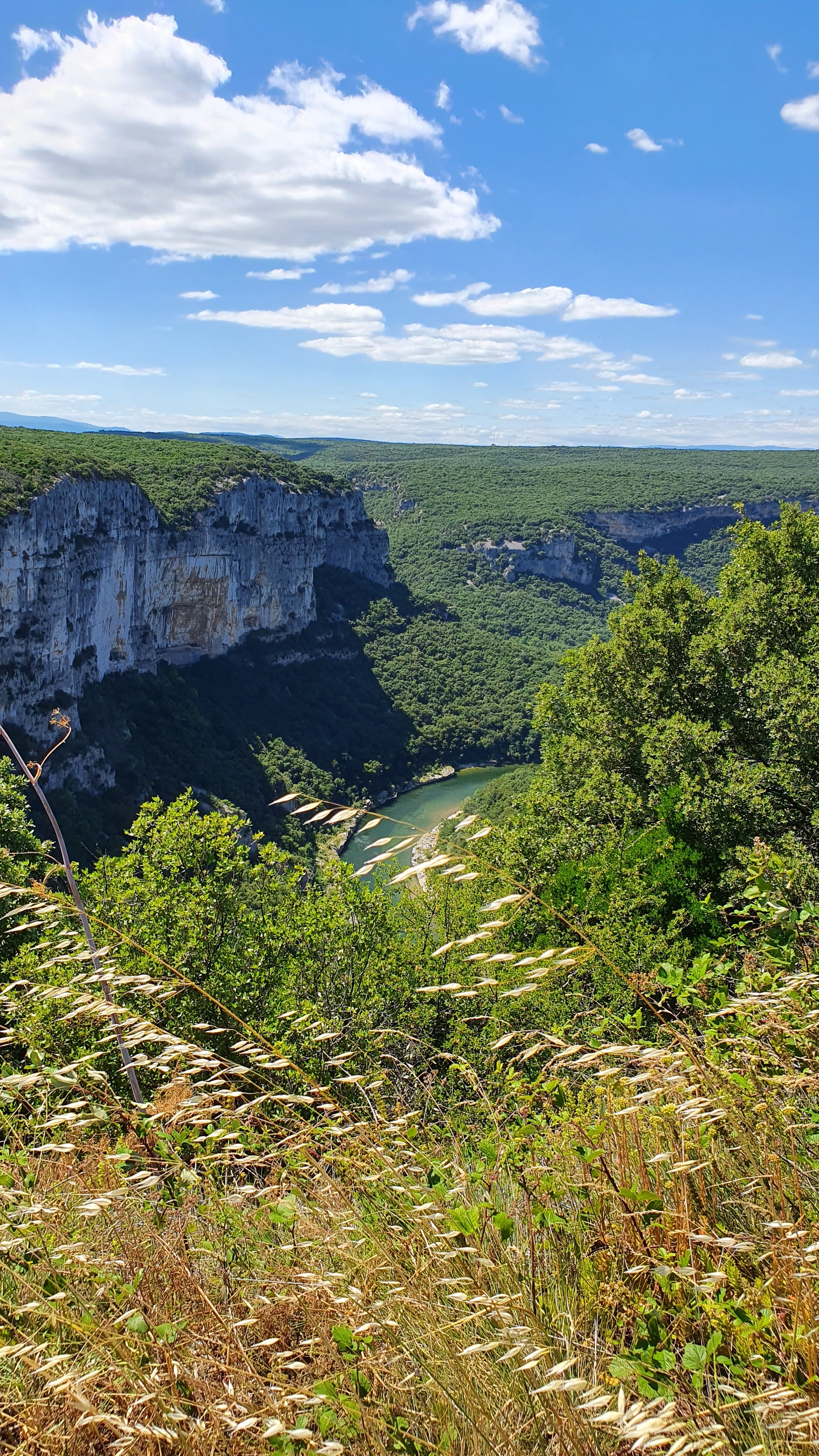 Photo n° 5 de l'avis de Solvaine.a fait le 22/06/2020 à 16:00