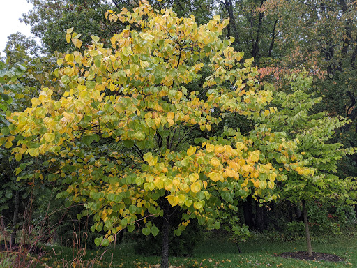 Water Park «Signal Bay Waterpark», reviews and photos, 9300 Signal View Dr, Manassas Park, VA 20111, USA