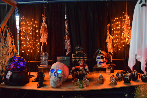 Plant Nursery «Potomac Petals and Plants», reviews and photos, 9545 River Rd, Rockville, MD 20854, USA