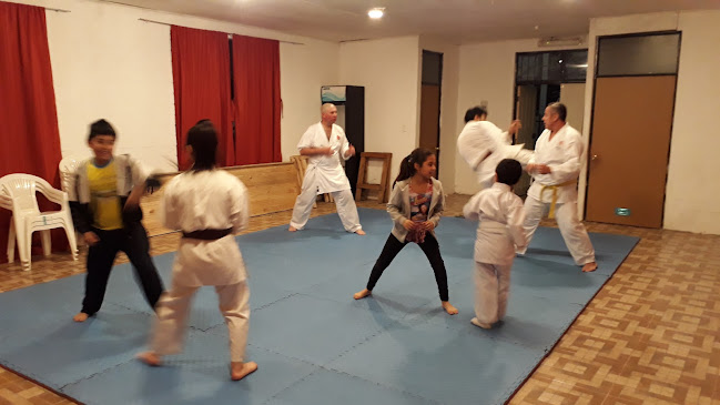 Opiniones de Karate Jka San Vicente T.T. en San Vicente - Escuela
