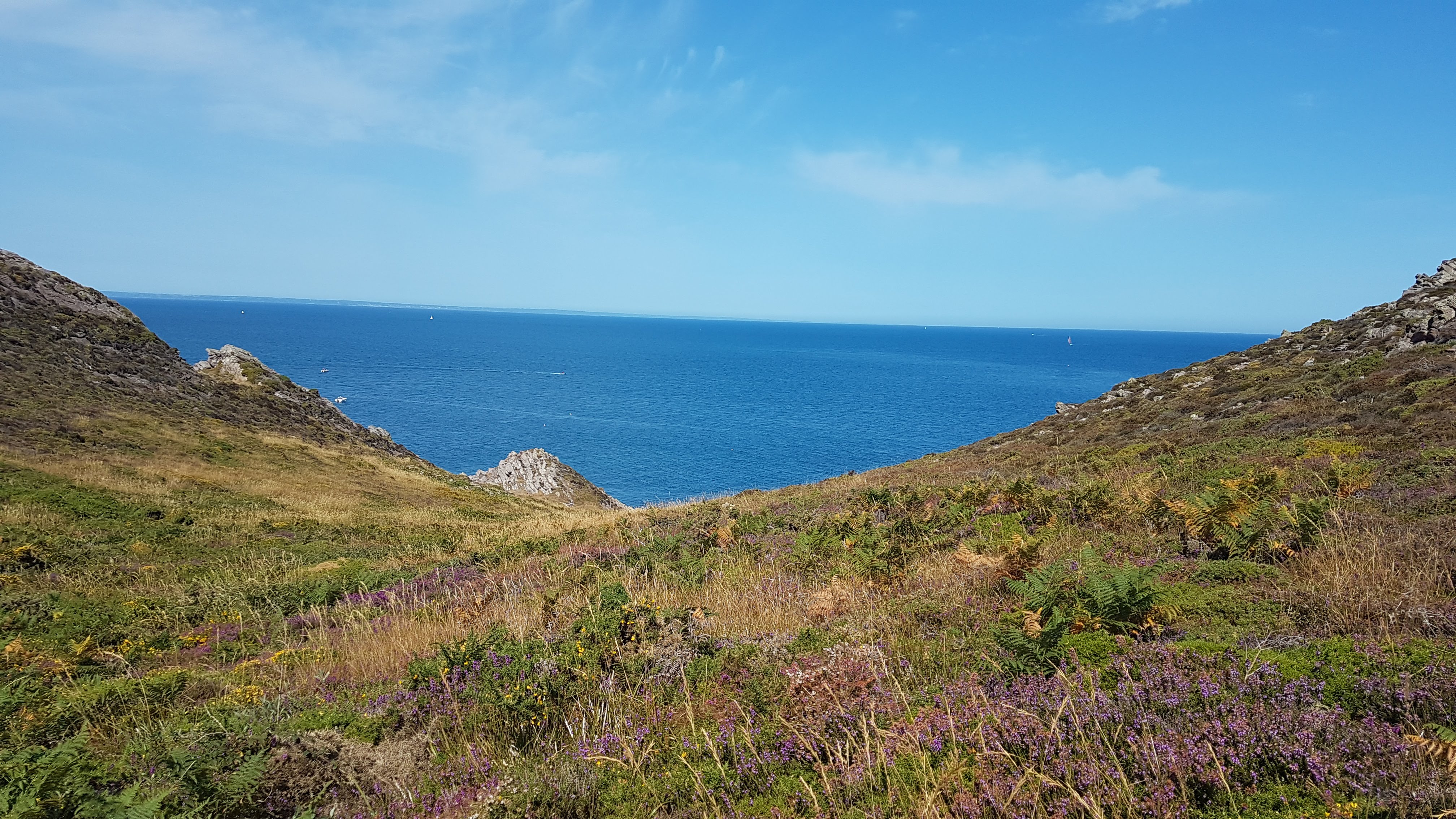 Photo n° 11 de l'avis de Corwin. fait le 17/07/2022 à 17:32