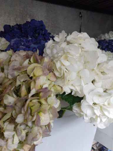 Florist «Roanoke Florist», reviews and photos, 500 US-377, Roanoke, TX 76262, USA