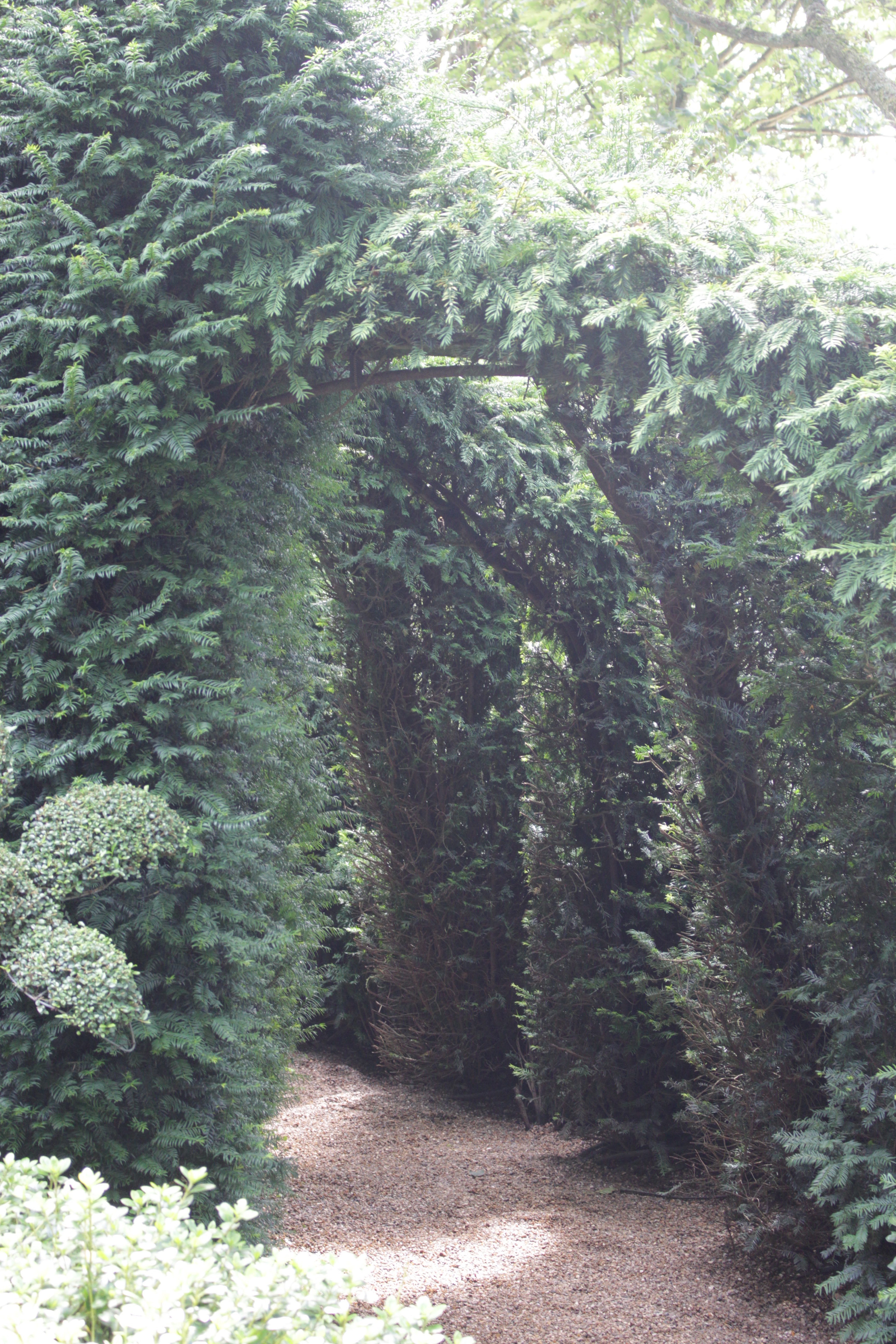 Photo n° 12 de l'avis de Arthur.i fait le 06/08/2021 à 13:44