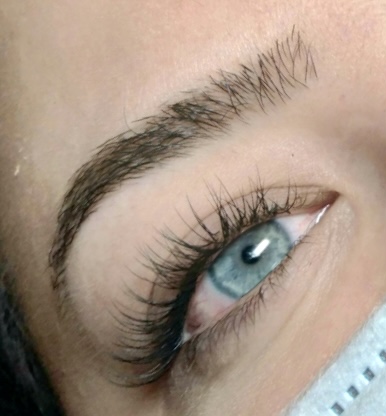 The Wink Beauty Lounge 48067