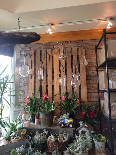 Florist «Viviano Flower Shop», reviews and photos, 32050 Harper Ave, St Clair Shores, MI 48082, USA