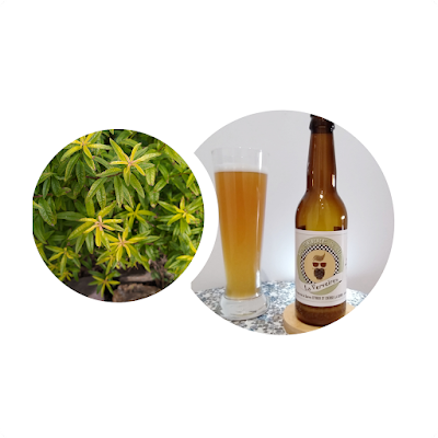 La Serre & Ale à Saint-Cierge-la-Serre