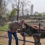 Photo n°3 de l'avis de Arianna.o fait le 03/04/2022 à 22:02 sur le  Agriturismo Papaveri e Papere à Caltana