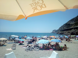 Foto di Platja Port Ginesta zona selvaggia