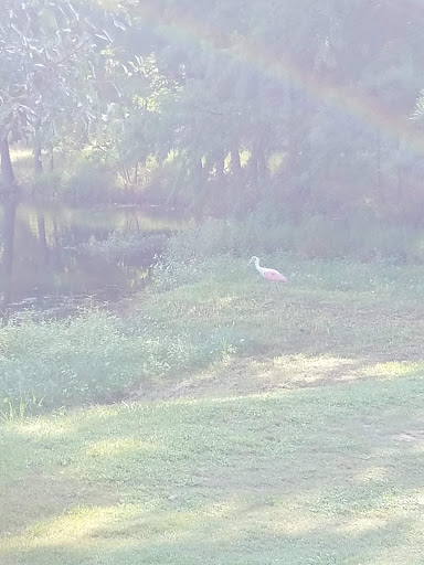 Public Golf Course «Tour 18 Golf Course», reviews and photos, 3102 FM 1960, Humble, TX 77338, USA