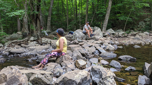 Nature Preserve «The New Weis Center for Education, Arts & Recreation», reviews and photos, 150 Snake Den Rd, Ringwood, NJ 07456, USA