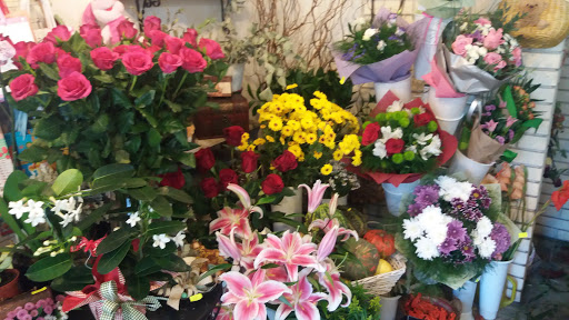 Магазин за цветя и подаръци Ивен Флорист