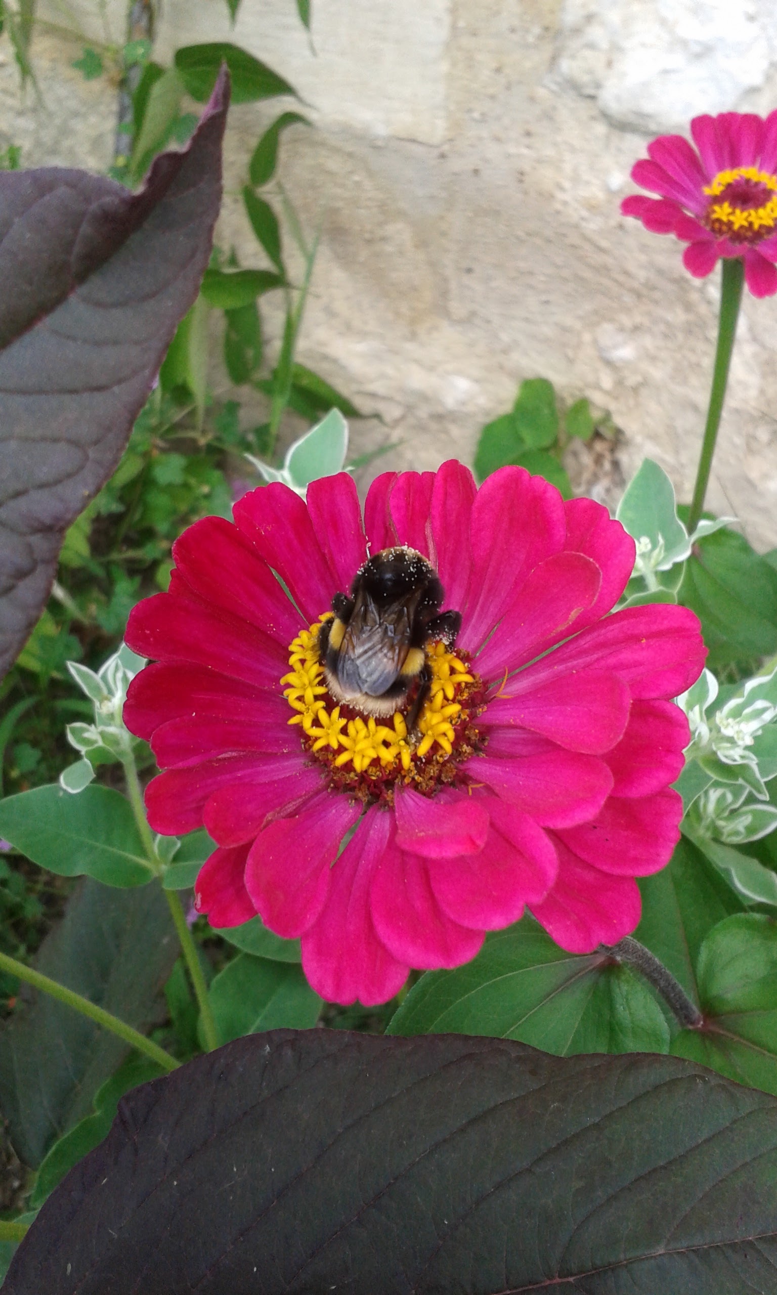 Photo n° 3 de l'avis de Nathalie.u fait le 30/07/2017 à 16:28