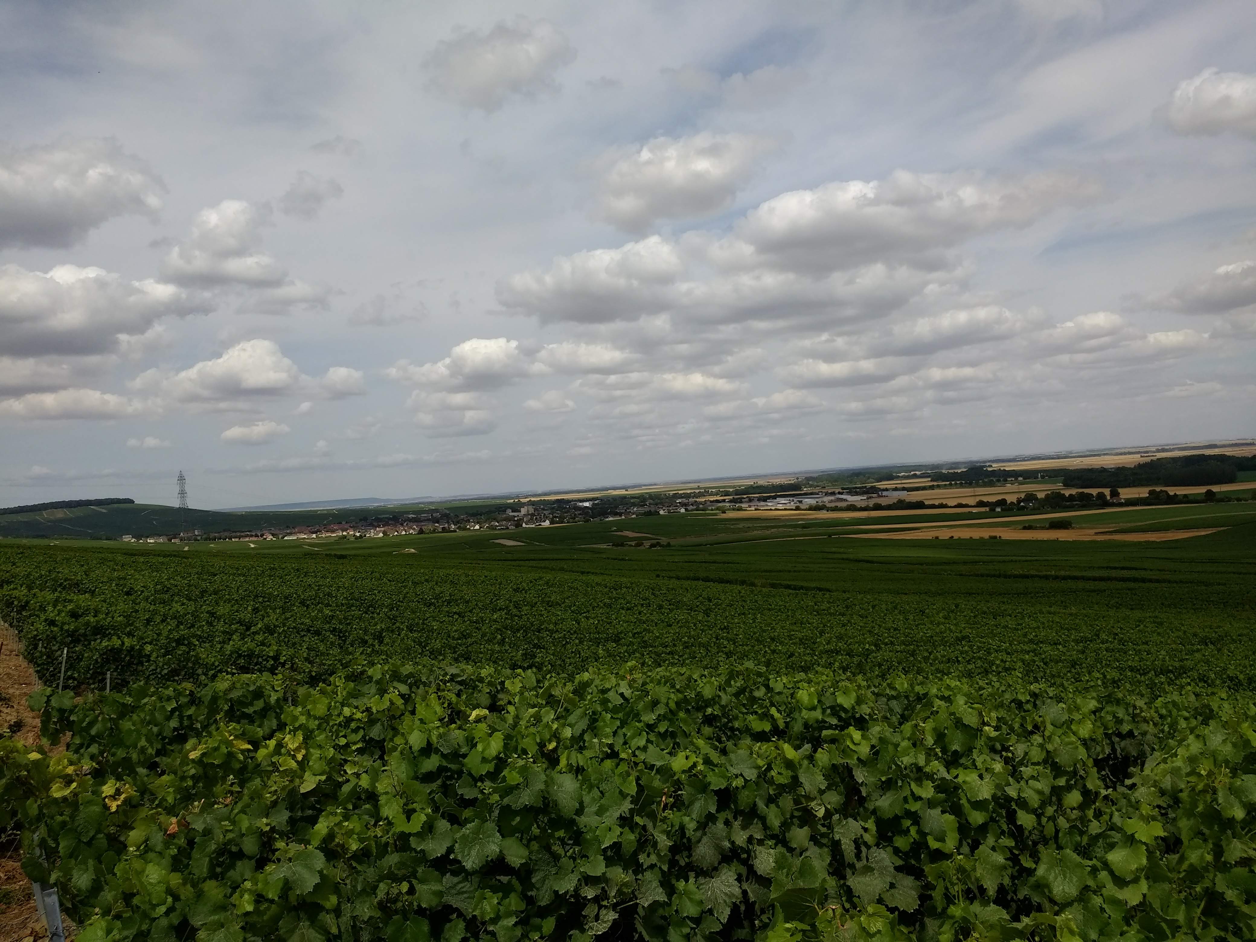Photo n° 3 de l'avis de philippe.e fait le 21/07/2019 à 18:37