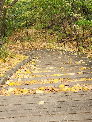 Timber Shores Park - photo 32