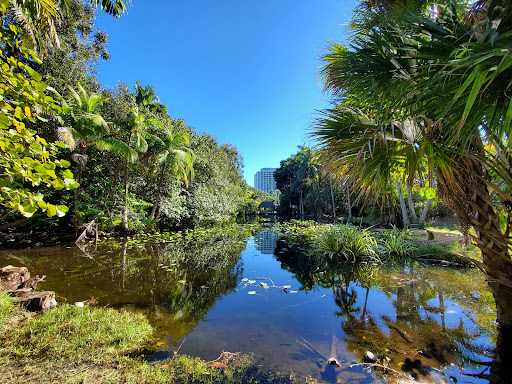 Museum «Bonnet House Museum & Gardens», reviews and photos, 900 N Birch Rd, Fort Lauderdale, FL 33304, USA