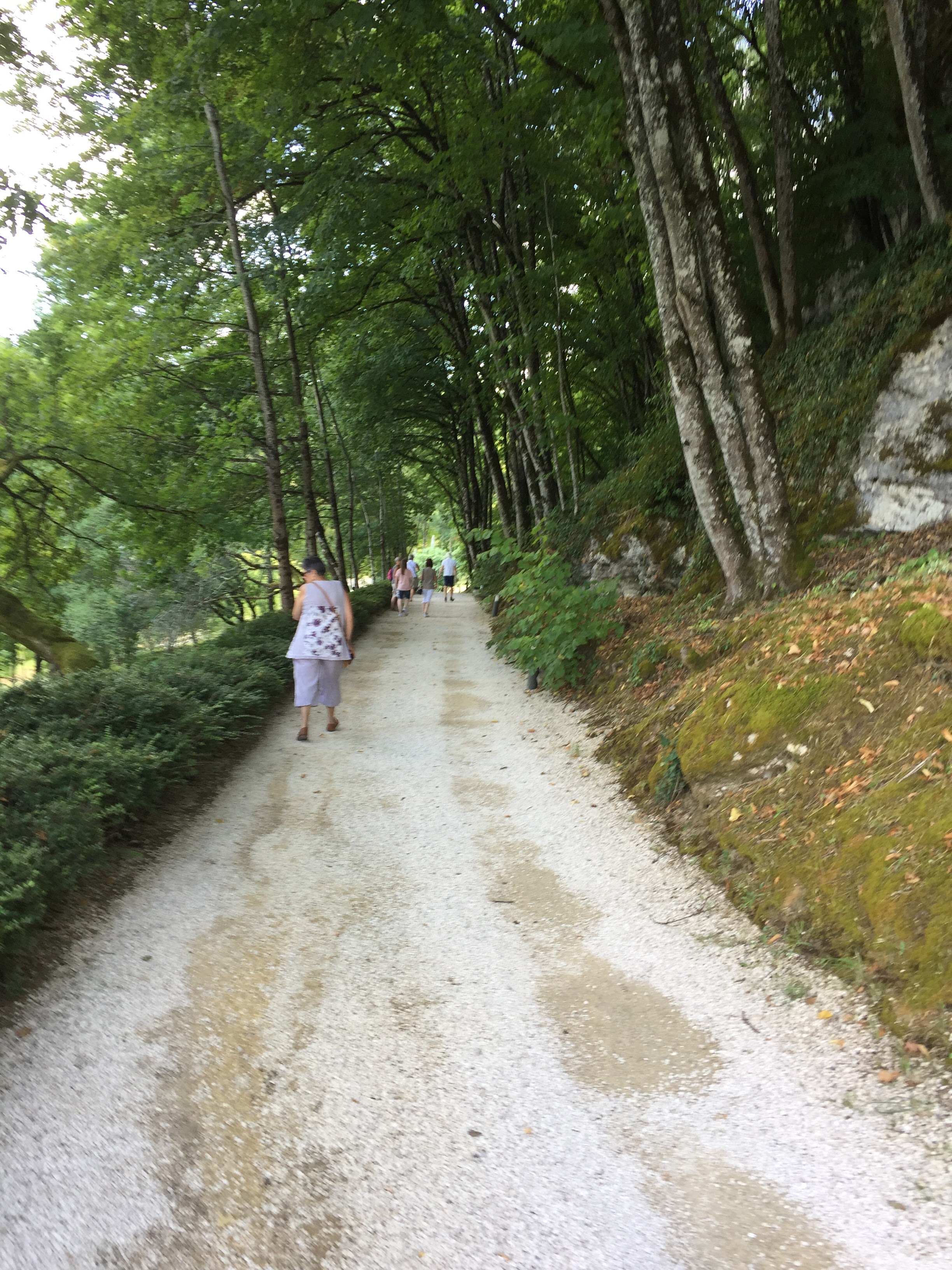 Photo n° 2 de l'avis de Bois.h fait le 03/08/2019 à 06:14
