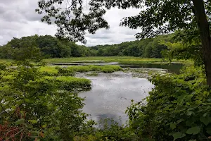 Allamuchy Mountain State Park image