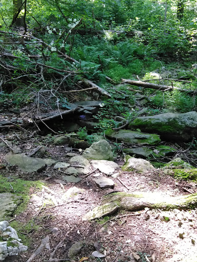 Nature Preserve «Strawberry Hill Nature Preserve», reviews and photos, 1537 Mt Hope Rd, Fairfield, PA 17320, USA