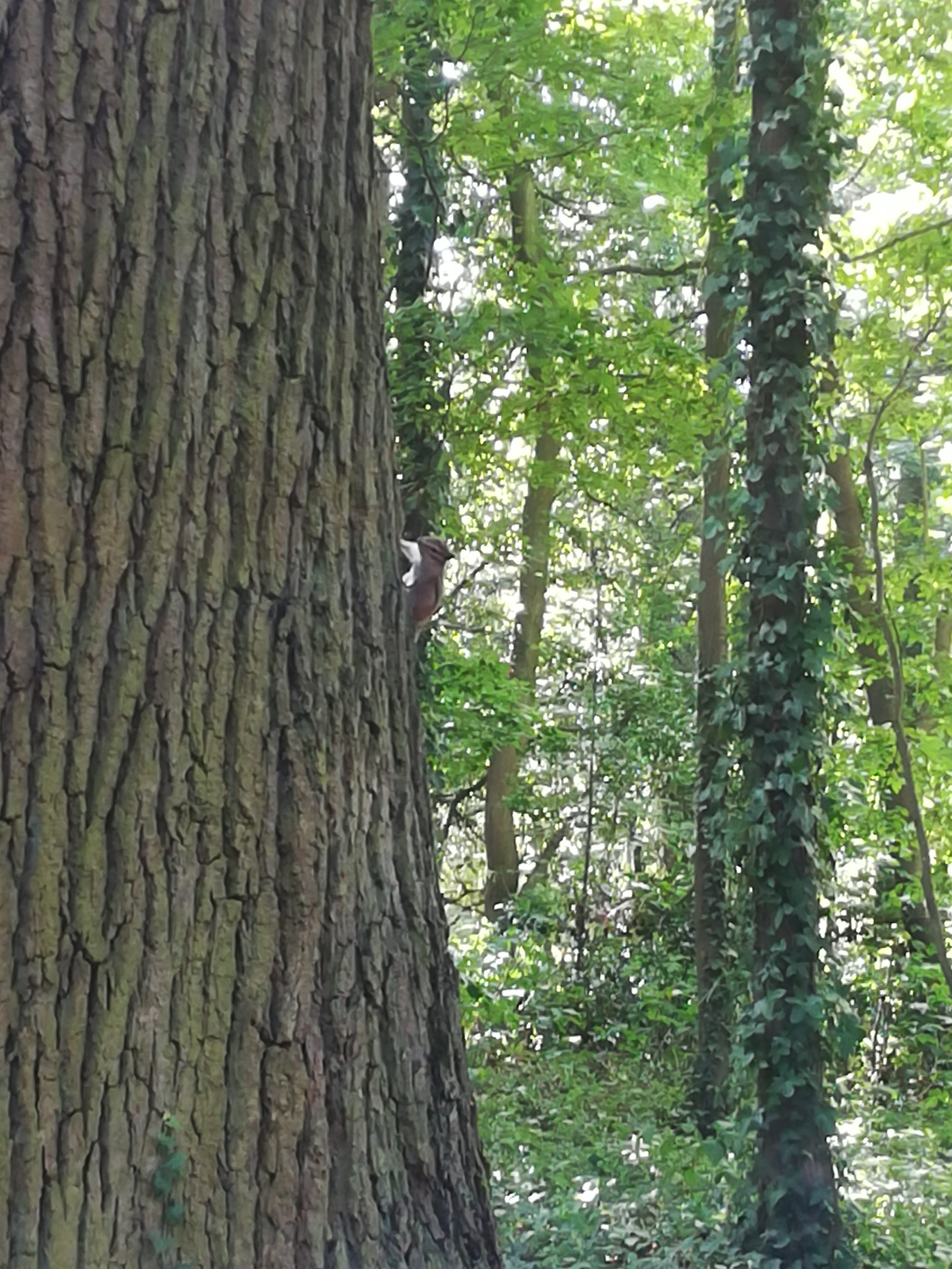 Photo n° 1 de l'avis de bigseb10. fait le 30/06/2019 à 08:10