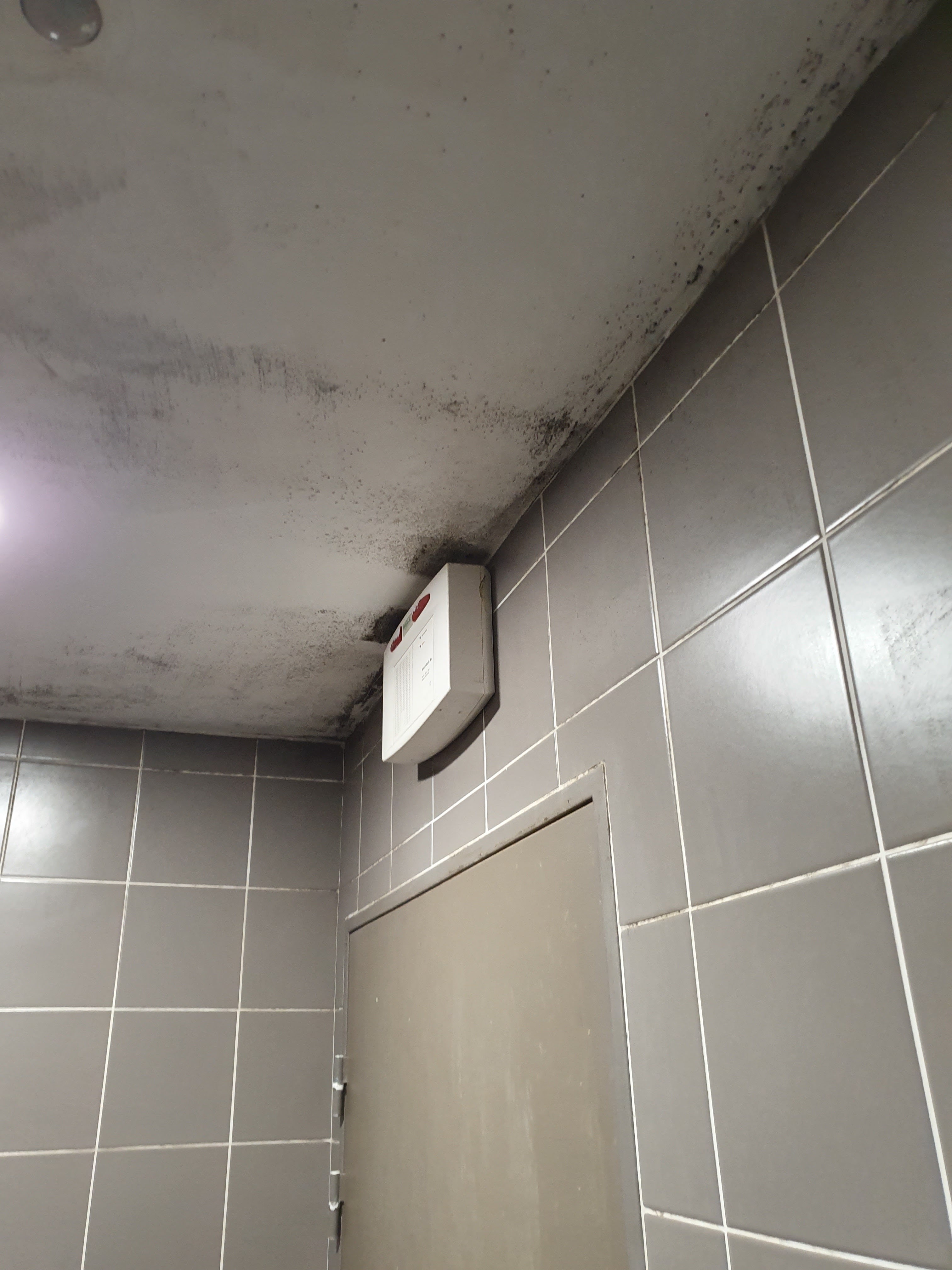 Photo n° 4 de l'avis de Pan.z fait le 18/12/2019 à 06:39