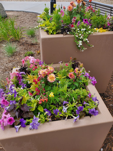 Dog Park «Trail Winds Dog Park», reviews and photos, 13385 Holly St, Thornton, CO 80241, USA