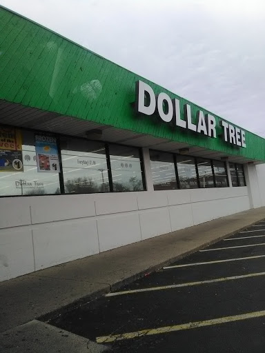 Dollar Store «Dollar Tree», reviews and photos, 508 S White Horse Pike, Somerdale, NJ 08083, USA
