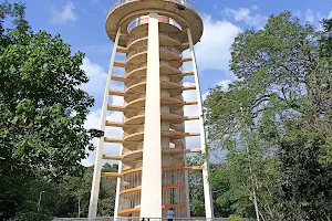 Anna Tower image