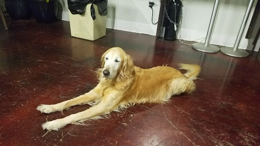 Wine Store «The Original Wine Club», reviews and photos, 1431 S. Village Way, Santa Ana, CA 92705, USA