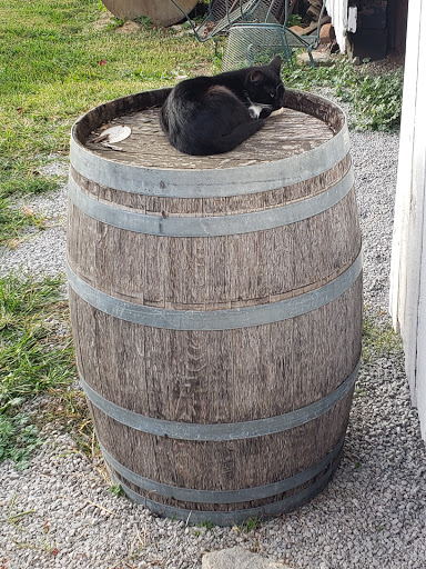 Winery «Smith-Berry Winery», reviews and photos, 855 Drennon Rd, New Castle, KY 40050, USA