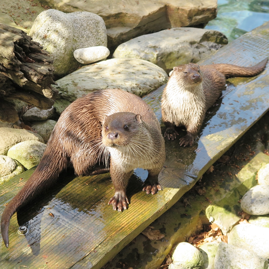 Photo n° 2 de l'avis de JooHee.A fait le 23/08/2018 à 13:16