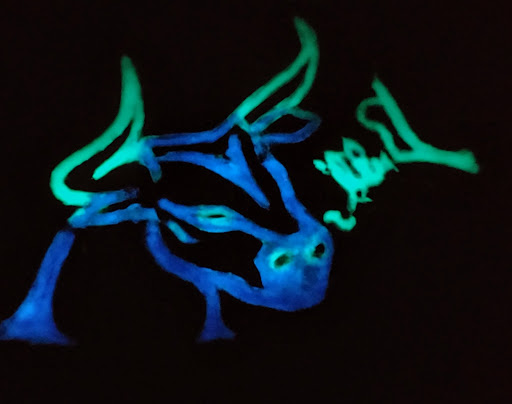 Lingerie Store «My Spicy Treasures», reviews and photos, 1010 Dallas Dr, Denton, TX 76205, USA