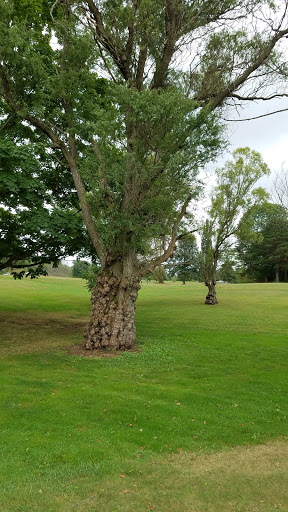 Golf Course «Chapel Hills Golf Course», reviews and photos, 3381 Austinburg Rd, Ashtabula, OH 44004, USA