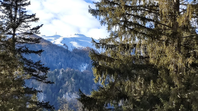 Viajes a Rumania - Ploiești