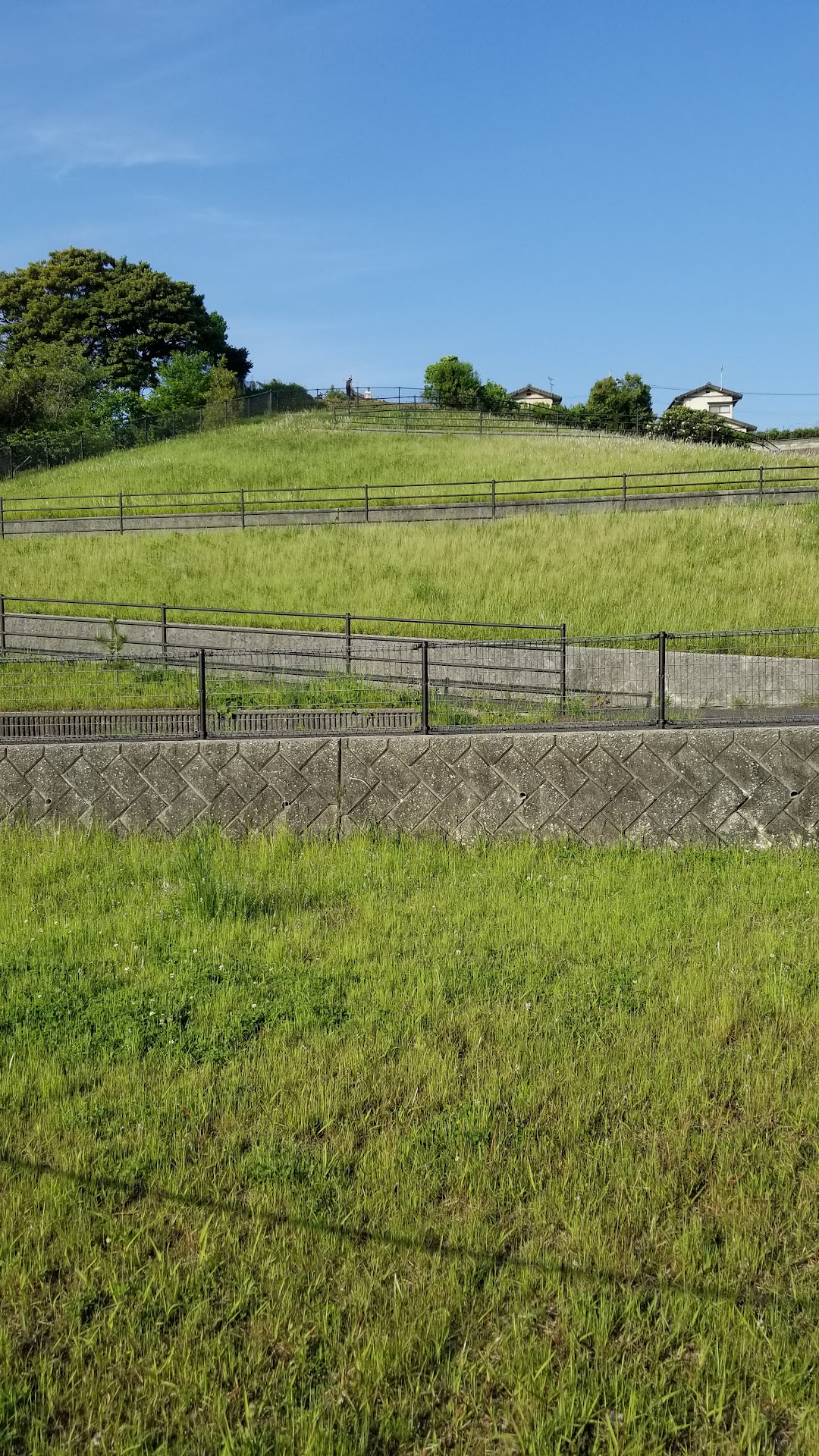 株北九州フラワ流通センタ 花市場