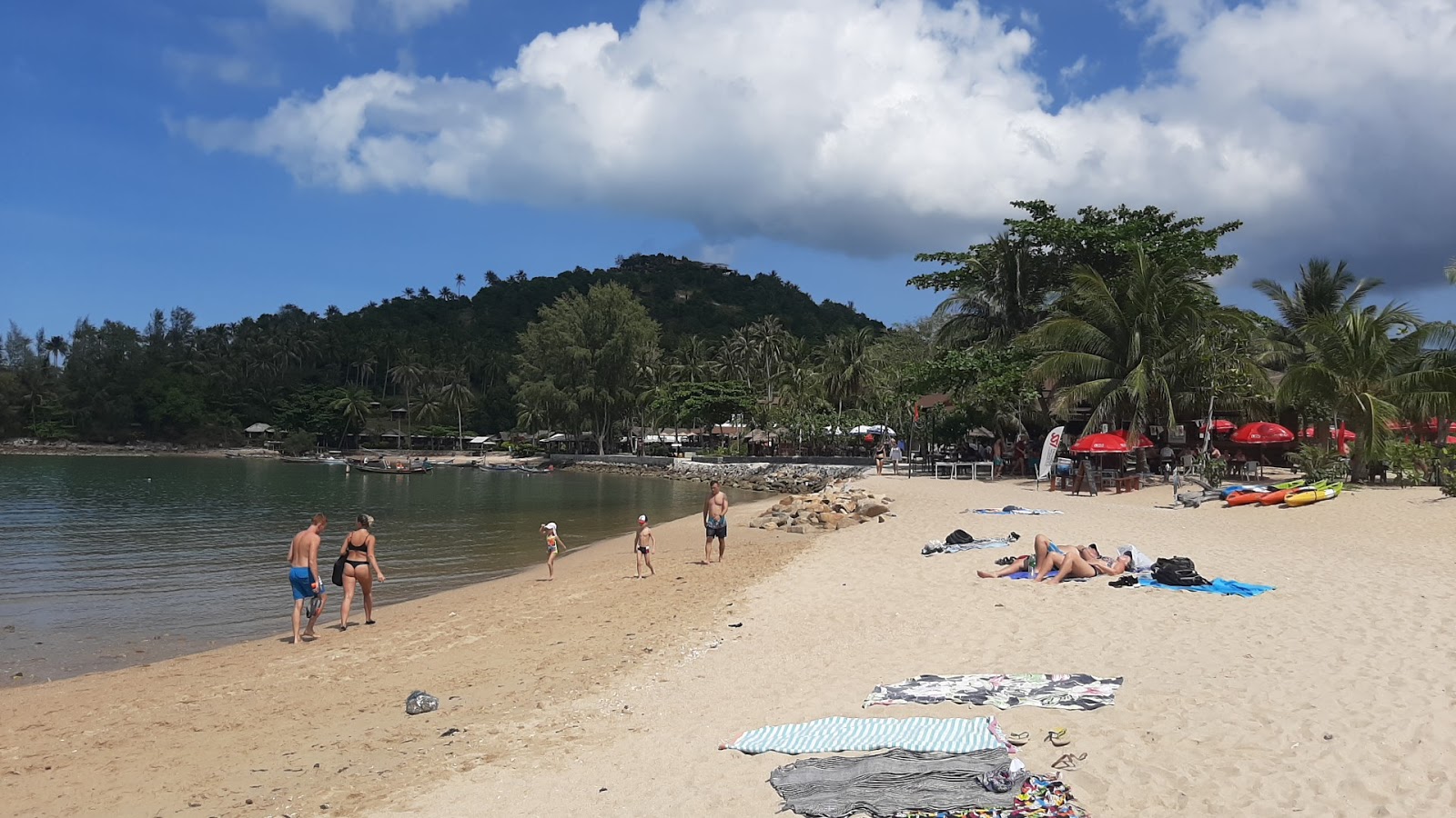 Foto de Mae Haad Beach - lugar popular entre os apreciadores de relaxamento