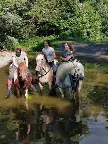 La Ferme Equestre du Rousset à Saint-Igny-de-Vers