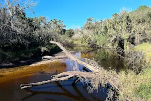 Little Manatee River State Park image