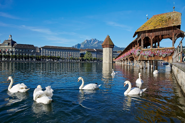 Rezensionen über Bucher Travel Switzerland in Luzern - Reisebüro