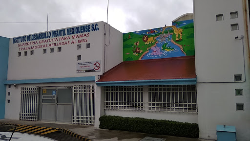 Instituto Desarrollo Infantil Mexiquense