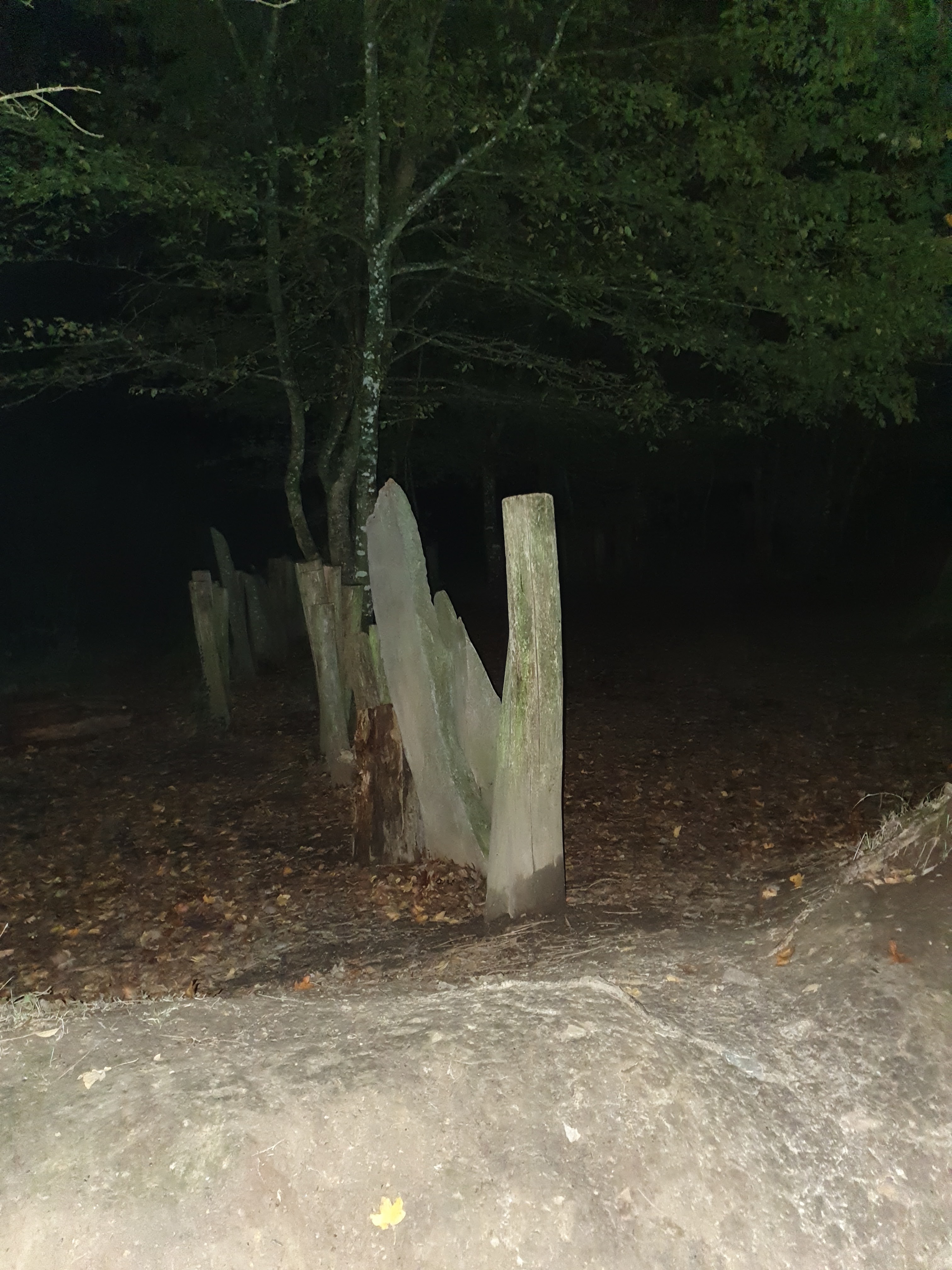 Photo n° 1 de l'avis de Sylvain.o fait le 29/10/2021 à 19:00