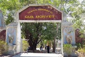 Goa Tourism Monkey image
