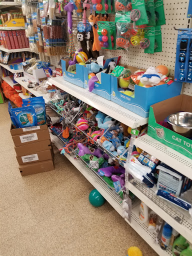 Dollar Store «Dollar Tree», reviews and photos, 10044 Griffin Rd, Cooper City, FL 33328, USA