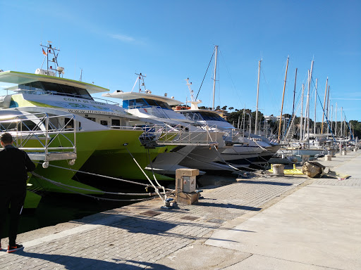 Información y opiniones sobre Bar la Plaza de Terrinches