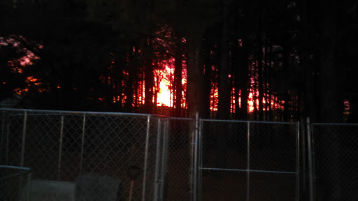 Animal Protection Organization «Missaukee Humane Society», reviews and photos