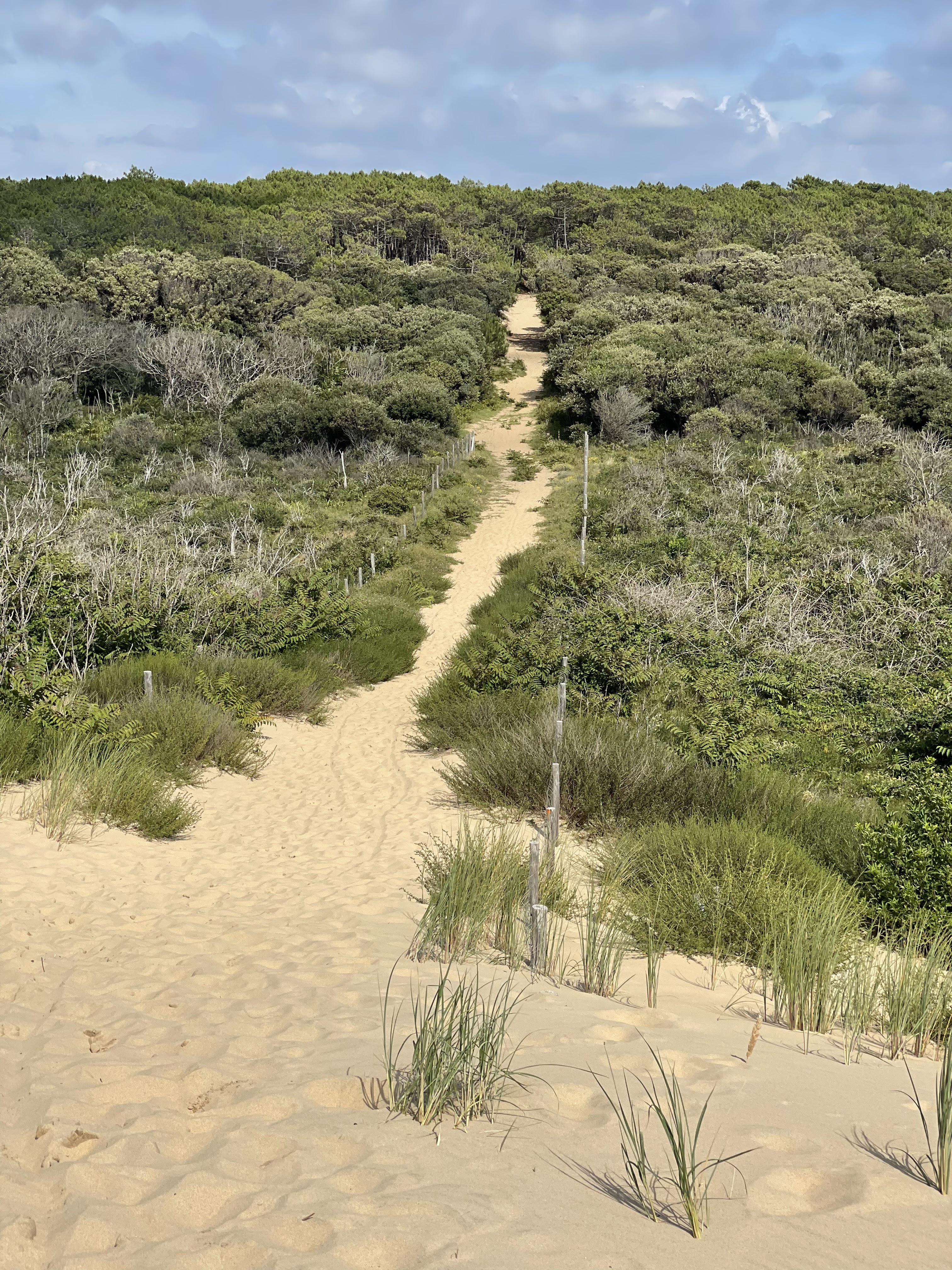 Photo n° 5 de l'avis de Arthur.o fait le 01/08/2021 à 12:56