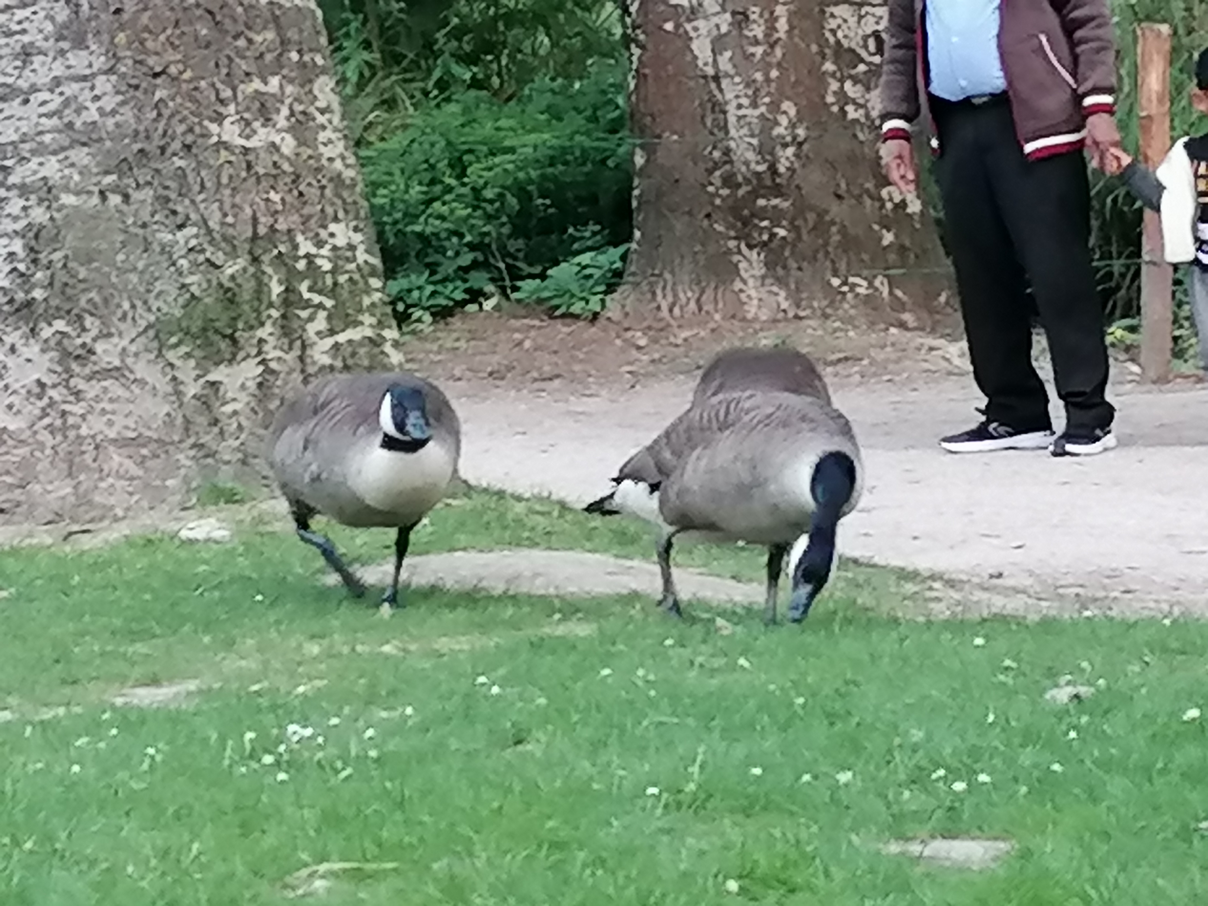 Photo n° 1 de l'avis de Sandrine.A fait le 07/07/2023 à 04:13