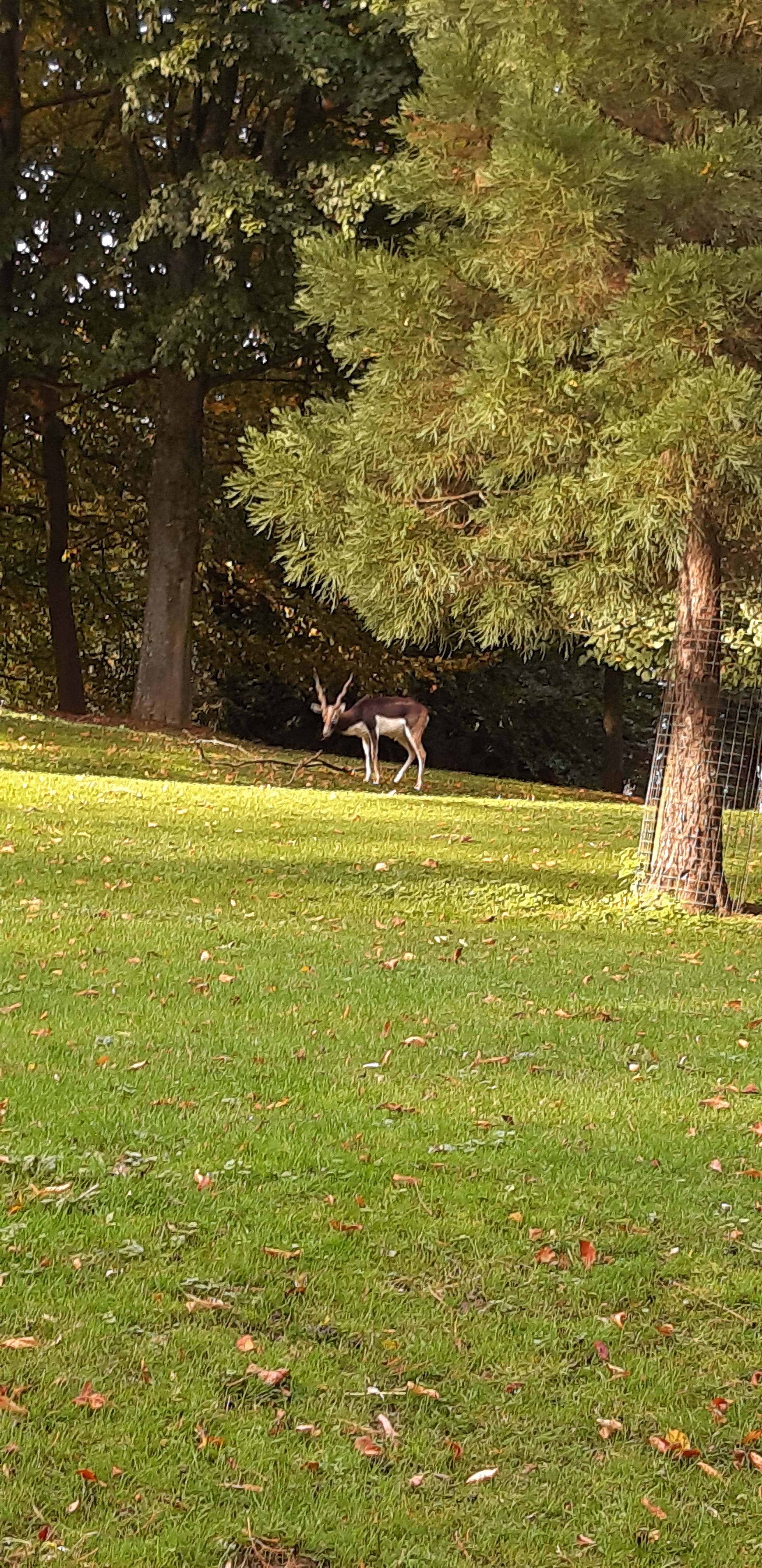 Photo n° 2 de l'avis de Nathalie.l fait le 20/10/2019 à 14:59