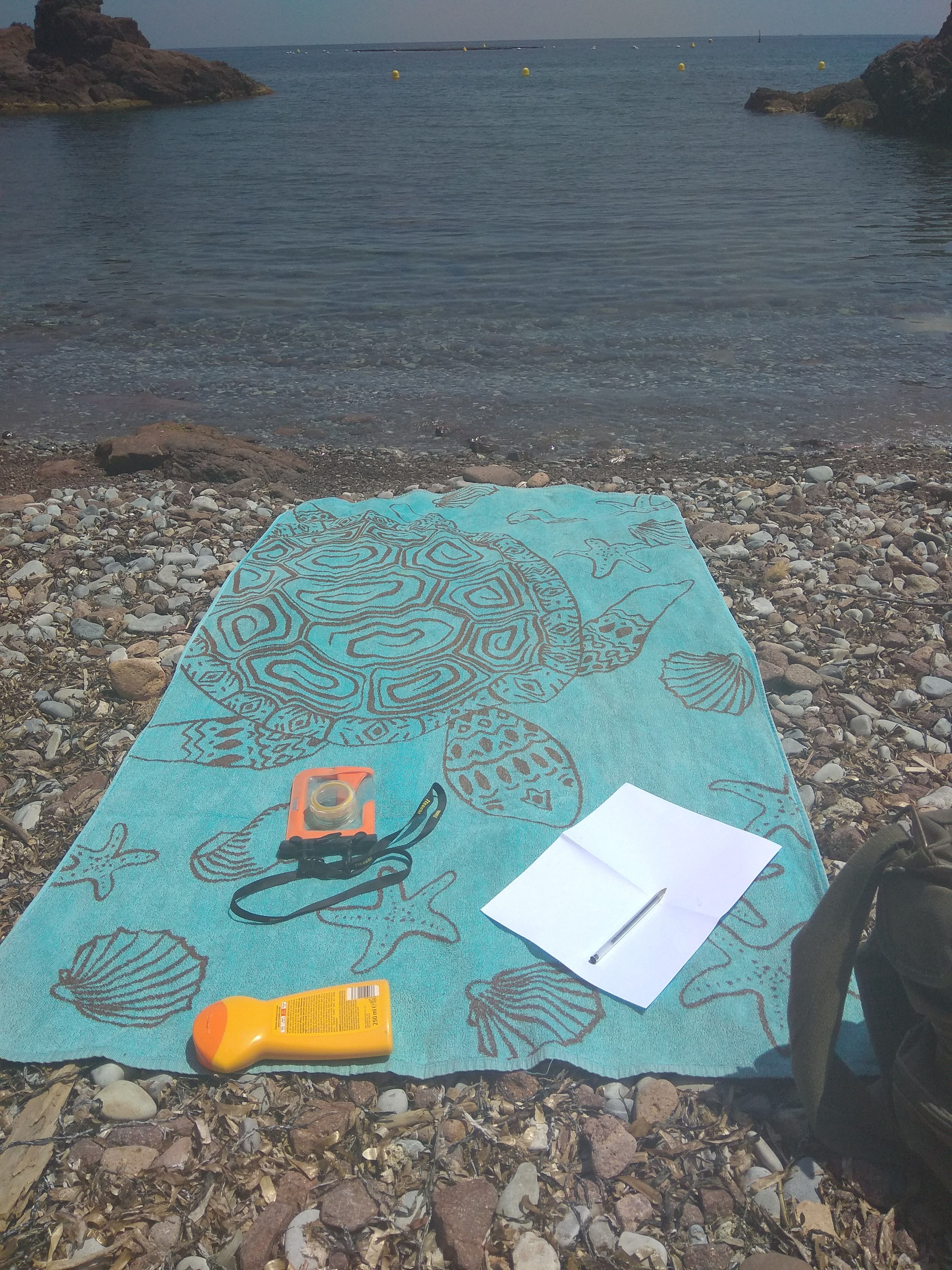 Photo n° 3 de l'avis de Emmanuel.h fait le 05/06/2019 à 10:44