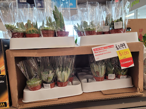 Supermarket «ALDI», reviews and photos, 3851 FM2181, Corinth, TX 76210, USA